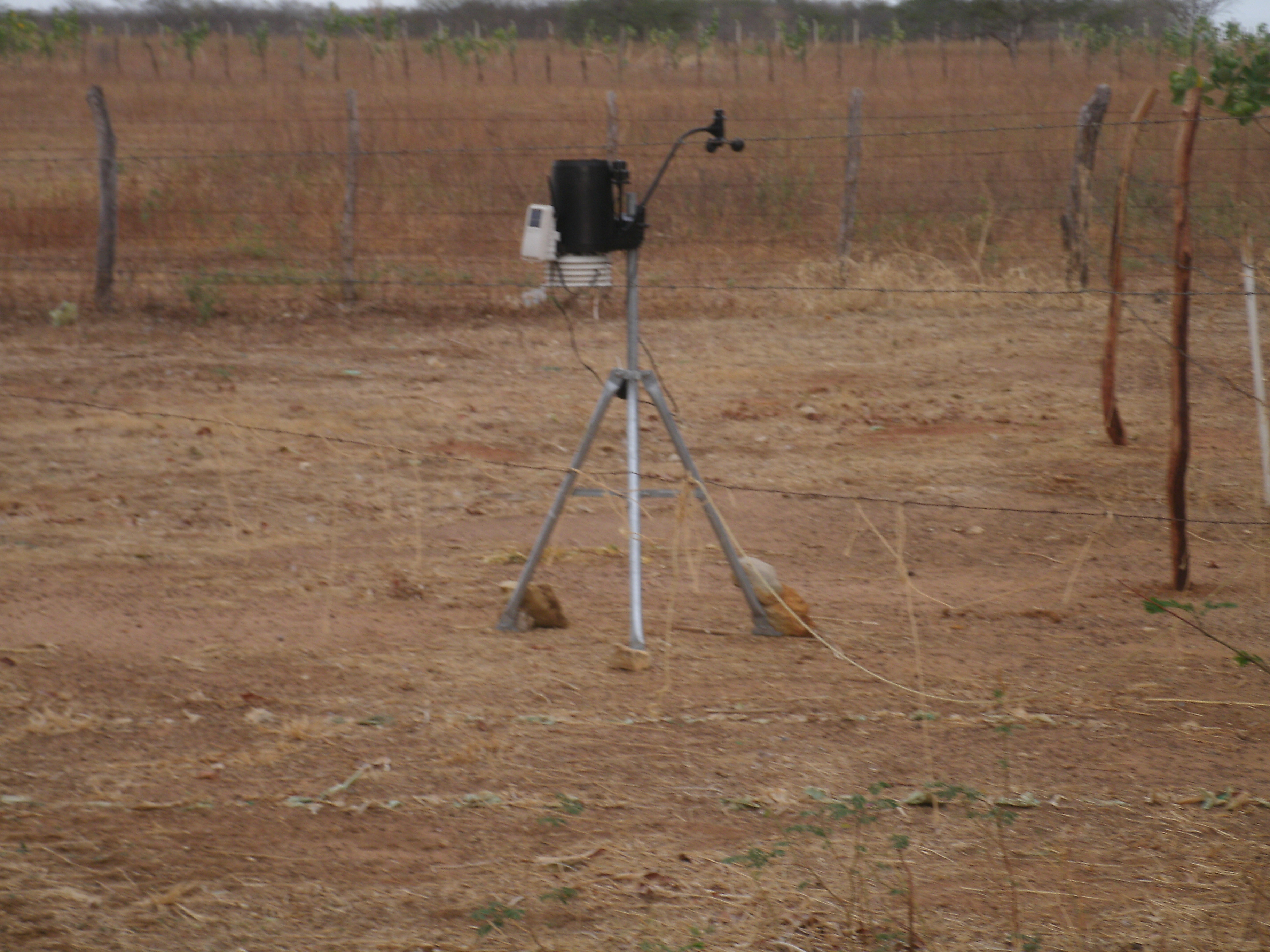 Foto da estação Davis